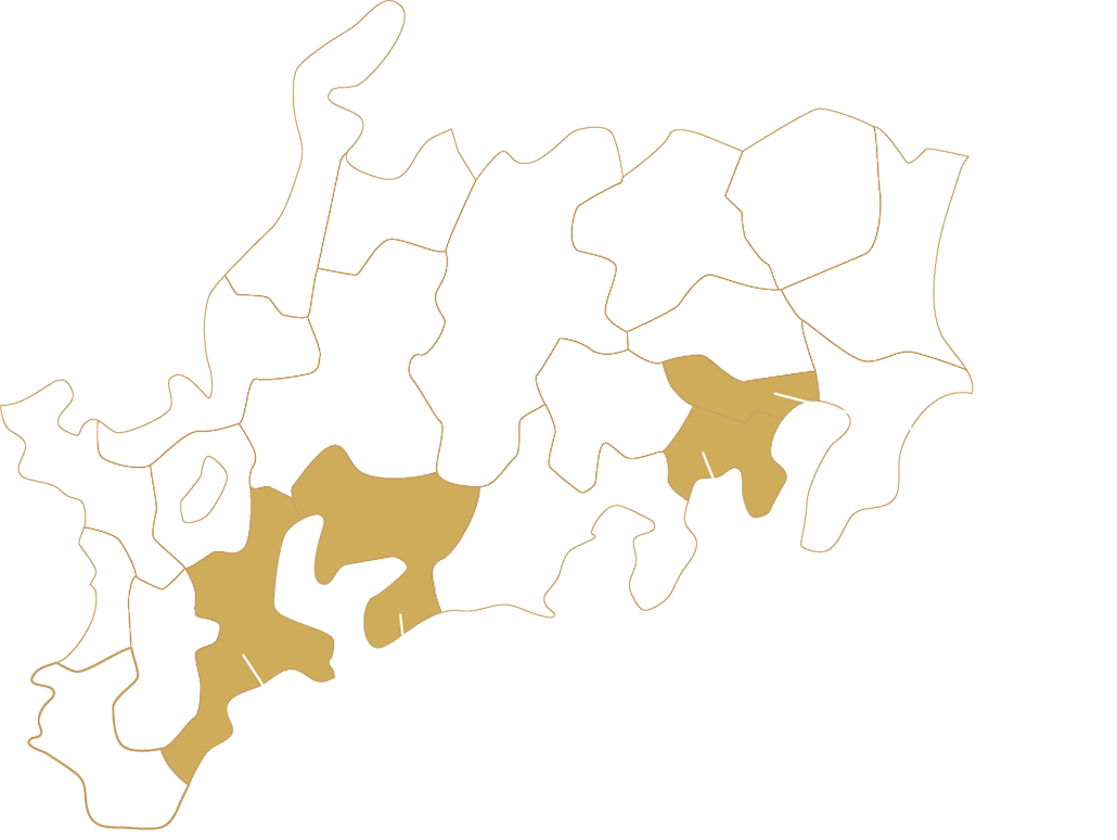 店舗展開エリア：東京、神奈川、愛知、三重